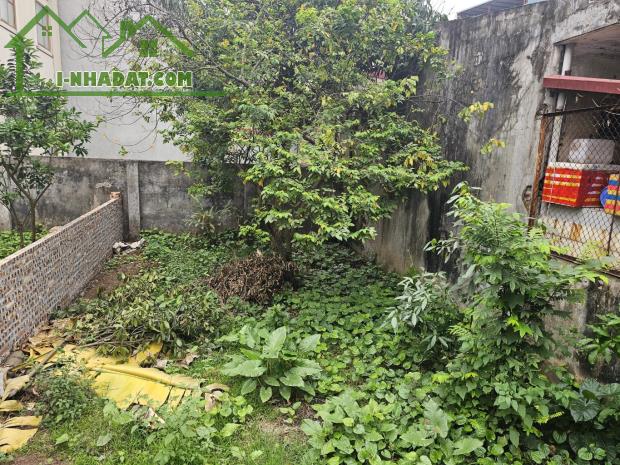 Chính chủ gửi Bán Đất Giang Biên, ngõ thông ô tô tránh, DT 50m, MT 5m, nhỉnh 8 tỷ - 2