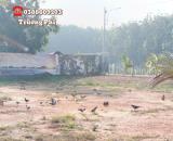 Sáp nhập Bình Dương và Hồ Chí Minh mua đất Bình Dương là hợp lý