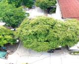 CHDV:LƯƠNG THẾ VINH -THANH XUÂN. +DT: 71M2 X 9T X 5.2M.M