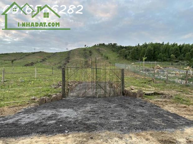 Bán 1031M2 đất Tại Ninh Tây, Ninh Hòa, Khánh Hòa, Giá đầu tư chỉ có 1,546 Tỷ