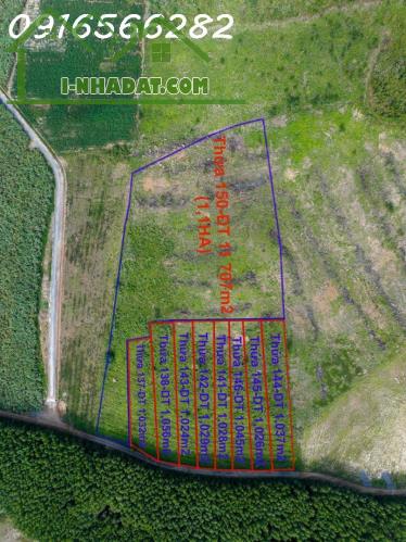 Bán 1031M2 đất Tại Ninh Tây, Ninh Hòa, Khánh Hòa, Giá đầu tư chỉ có 1,546 Tỷ - 1