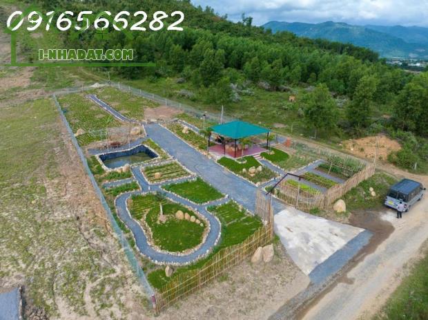 Bán 1031M2 đất Tại Ninh Tây, Ninh Hòa, Khánh Hòa, Giá đầu tư chỉ có 1,546 Tỷ - 2