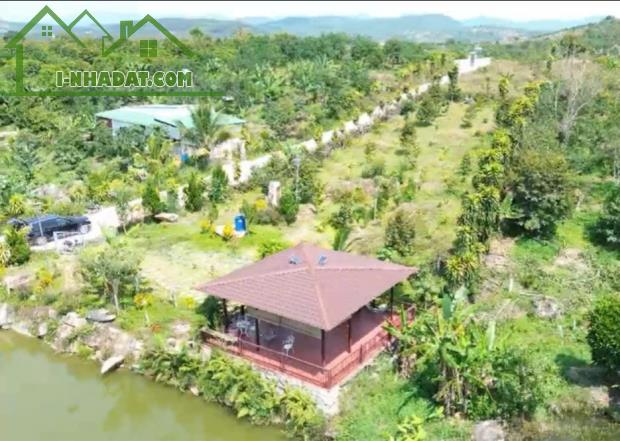 Đất Bảo Lộc, 250m2 đất vườn – GIÁ F0 Thanh toán 390 triệu nhận đất