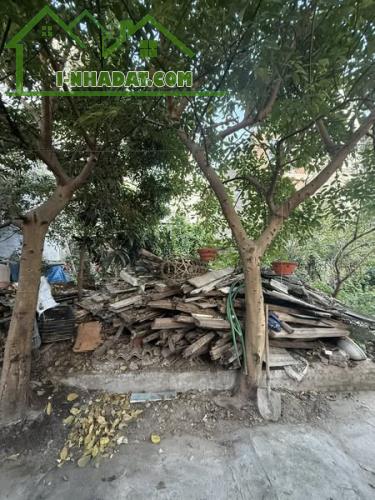 Siêu Hot! Đất 68m² – Ngõ 484 Lạc Long Quân – Lô Góc, Ô Tô Đỗ Cửa – 10,9 Tỷ - 2