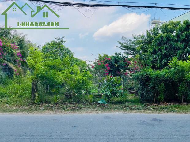 [Tin hot hôm nay] Đất Nền Mặt Tiền Tại Tân Thông Hội - Giá Cực Sốc