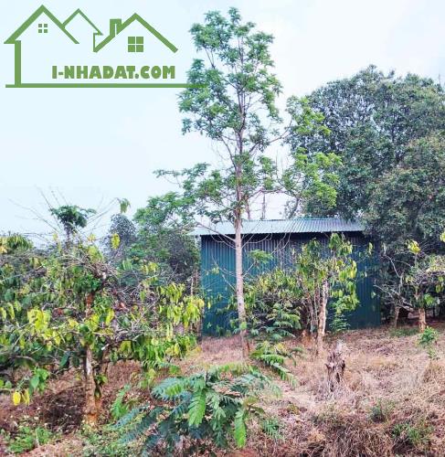 Bán 17.000m² đất ĐỎ cà phê - Buôn Ma Thuột, 7.6 tỷ. Gần hồ sinh thái Ea Kao. - 1