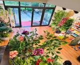 BÌNH MINH GARDEN, 2 Mặt Tiền Ô Tô, Vỉa Hè-KD, Không Gian Lý Tưởng