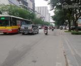 Em Cần Bán gấp Phân Lô Nguyễn Khả Trạc, Mai Dịch, Cầu Giấy . Giá Bán Chỉ 24,5 Tỷ DT130 M2