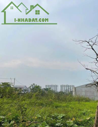 ĐẤT KQH XUÂN PHÚ - GẦN CHỢ CỐNG MỚI 96m2 - 1