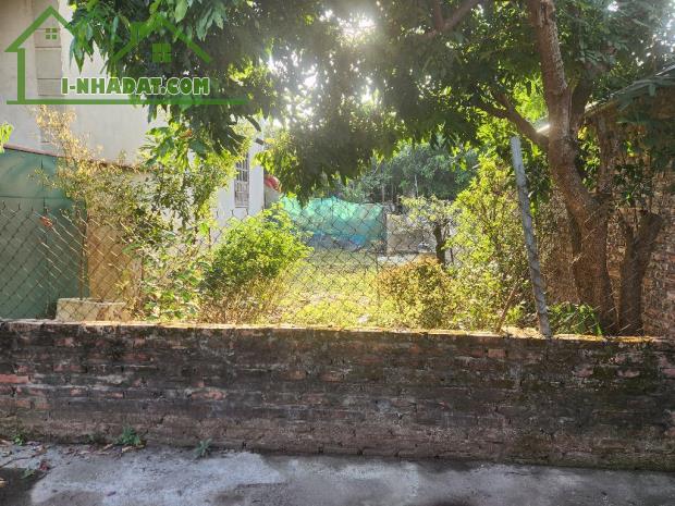 HÀ NỘI - QUẬN LONG BIÊN -Đường Xuân Khôi ( ngõ độc lập cũ ) đã làm trải nhựa rất đẹp - 2