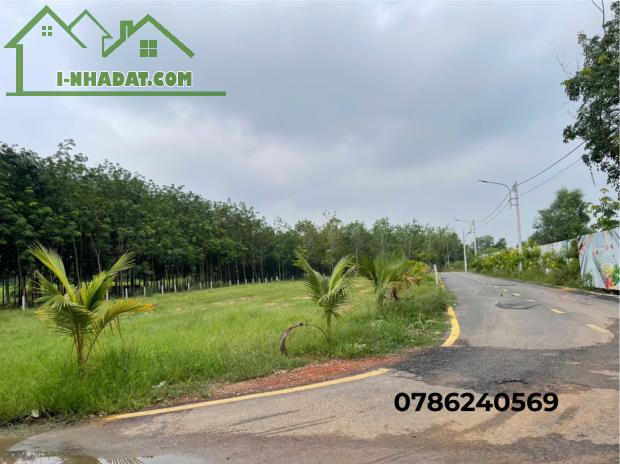 🔥 Đất Mặt Tiền Tân Định – Sổ Sẵn – Giá Tốt Chỉ Từ 1.35 Tỷ - 1