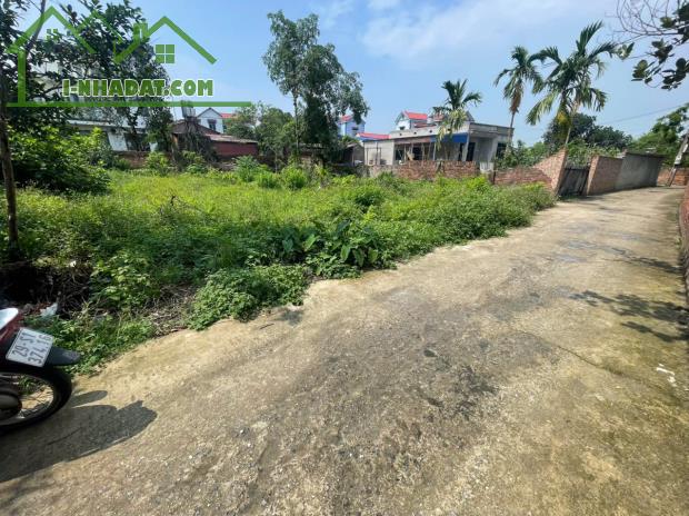 KIẾM ĐÂU RA ĐẤT HỒNG KỲ – RẺ HƠN CẢ BÁT BÚN SÁNG - ĐẦU TƯ - XÂY NHÀ ĐỀU ĐƯỢC
