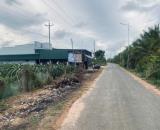 20x80 (1600m2) 100m2 Tc Đinh Công Tráng LaGi Giá Cực Rẻ
