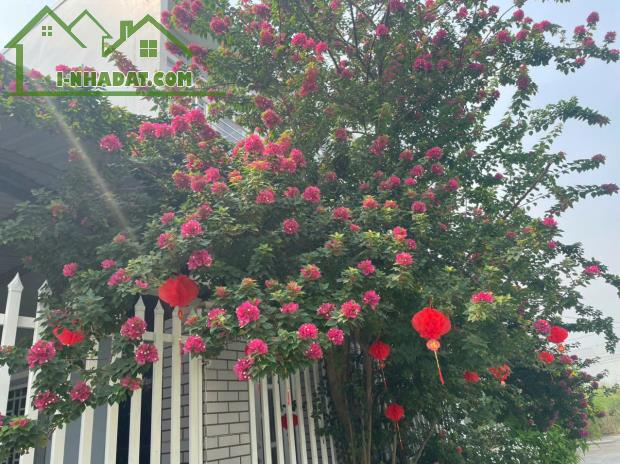 Chính chủ bán nhà gần khu dân cư Tân Bửu, Bến Lức, Long An