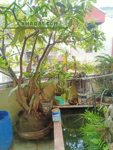 HIẾM-MẶT PHỐ QUẬN HOÀN KIẾM-61M 4T 25TỶ-Ô CHỜ THANG MÁY-KINH DOANH SẦM UẤT NGÀY ĐÊM - 3