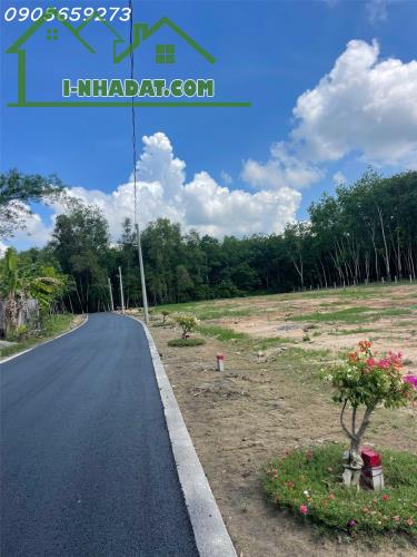 ĐẤT KCN BÀU BÀNG MỞ RỘNG 650trệu/220m2 - tt chuẩn - 4