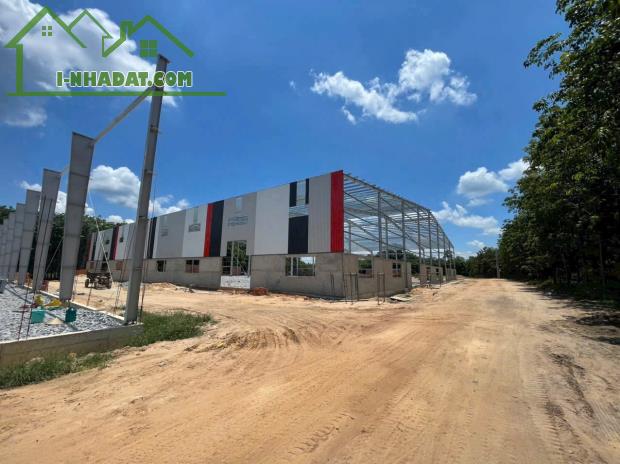 Cho Thuê 11.000m2 Kho Xưởng Mới Bàu Bàng Bến Cát Bình Dương - 1
