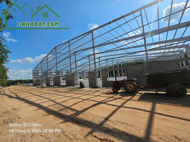 Cho Thuê 11.000m2 Kho Xưởng Mới Bàu Bàng Bến Cát Bình Dương - 2