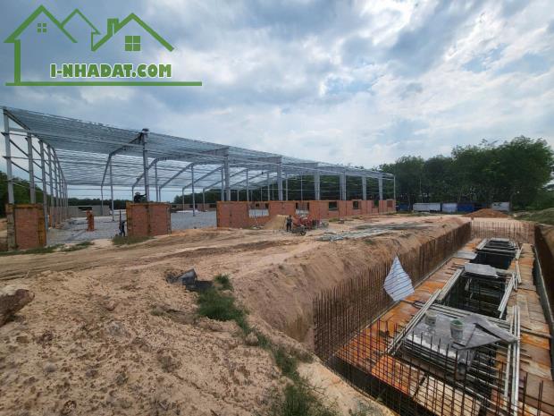 Cho Thuê 11.000m2 Kho Xưởng Mới Bàu Bàng Bến Cát Bình Dương - 3