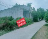 Đất chính chủ cần bán gấp - ẤP 4 LONG ĐỊNH GIÁP THỊ TRẤN BẾN LỨC
