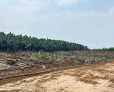 Đại hạ giá lô đất giá rẻ chưa từng có tại Định Quán