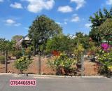 Cần tiền bán gấp vườn trái cây, Bình Phước, 2500m2, 400m2 thổ cư