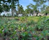 BÁN ĐẤT 3000M², CÓ NHÀ CẤP 4, AO CÁ, VƯỜN CÂY ĂN QUẢ, KHÔNG GIAN SỐNG XANH, YÊN BÌNH