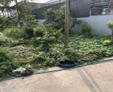 Bán đất Xâm Xuyên, Hồng Vân, Thường Tín – 100m² – Ô tô tải đỗ cửa – Giá chỉ 4x triệu/m²
