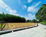 🌸ĐẤT CHÍNH CHỦ VIEW SÔNG VEN ĐÀ NẴNG🌸 🌸HOÀ KHƯƠNG - HOÀ VANG VẪN SẴN 2 EM🌸