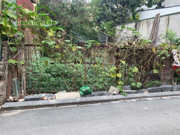 Nhanh tay thì còn, lô đất 50m2 đẹp rực rỡ tại đường Hoa Ban Kim Nỗ, Đông Anh - 3
