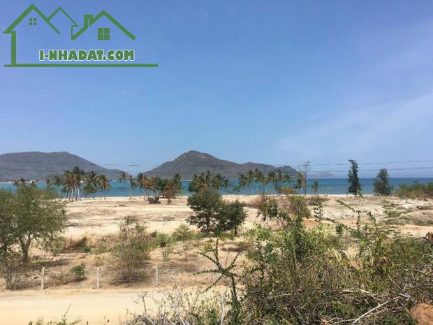 bán 10ha view biển quy hoạch đất ở và tmdv Ninh Vân Ninh Hòa 0985451850 - 3