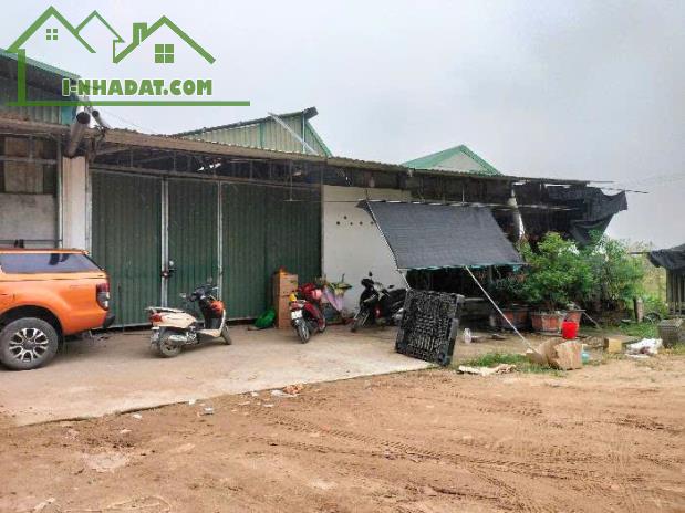 Nhà Xưởng Cực HOT TẶNG Nhà C4 Dòng Tiền