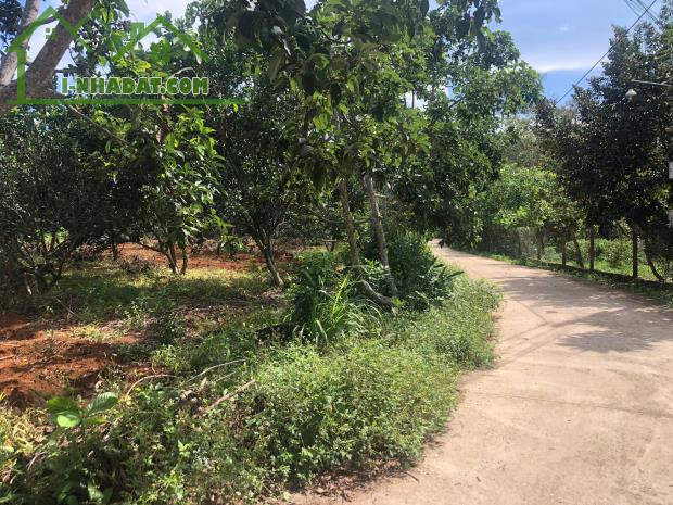 Đất mặt tiền lớn 120m Kim Long, gần đường Láng Lớn – Xà Bang, 2962m² chỉ 3.7 tỷ