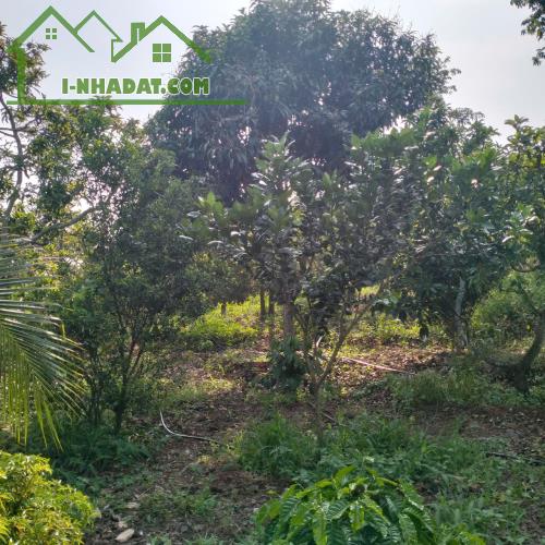 Đầu tư đất Quảng Thành – 9400m² giá chỉ 5.8 tỷ, 140m mặt tiền, gần khu dân cư