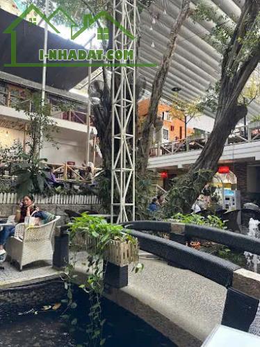 Cần bán gấp, hàng hiếm nhà mặt tiền Trần Hưng Đạo P.1 Quận 5 - 3