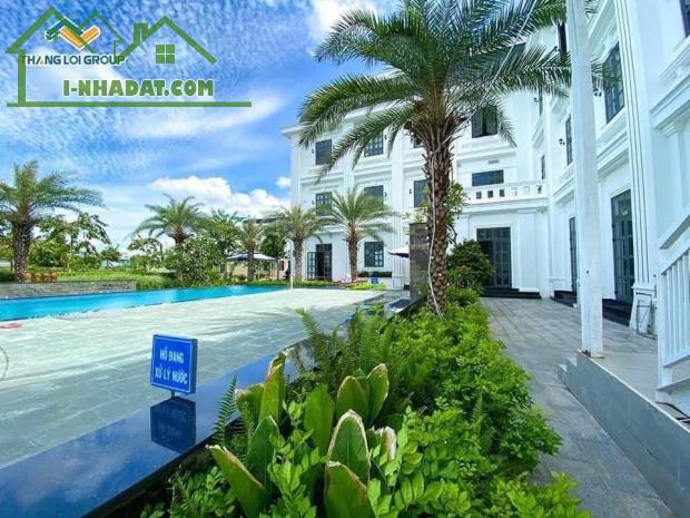 Gia đình có 2 nền đất Block H trong khu thắng lợi central hill diện tích ngang 8m tổng 232 - 3