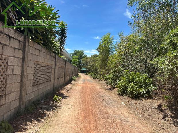 Bán 10m x 50m đất ONT Lô 2 Nguyễn Chí Thanh - TX LaGi giá mềm 1.35 tỷ - 3