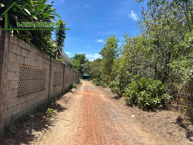 Bán 10m x 50m đất ONT Lô 2 Nguyễn Chí Thanh - TX LaGi giá mềm 1.35 tỷ - 4