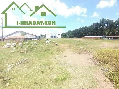 CHÍNH CHỦ BÁN ĐẤT KHU NHÀ XƯỞNG 17.800m² – VỊ TRÍ ĐẸP – HẠ TẦNG HOÀN THIỆN. - 4
