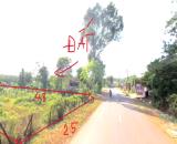BÁN SÀO ĐẤT THỔ CƯ 25x48=1.257M2 SẴN 500M THỔ CƯ BƯỚC RA TRUNG TÂM CHỢ 200M 245 TRIỆU