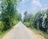 💫💥💥💥 SIÊU PHẨM ĐẤT VƯỜN NGHỈ DƯỠNG – BÁM TỈNH LỘ 438 – LẠC THỦY, HÒA BÌNH 💥💥💥  View