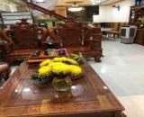 Nhà 5 Tầng Đẹp Lung Linh – Tây Thạnh, Tân Phú – 6PN, 290m² sàn – Giá Chỉ 7.5 Tỷ