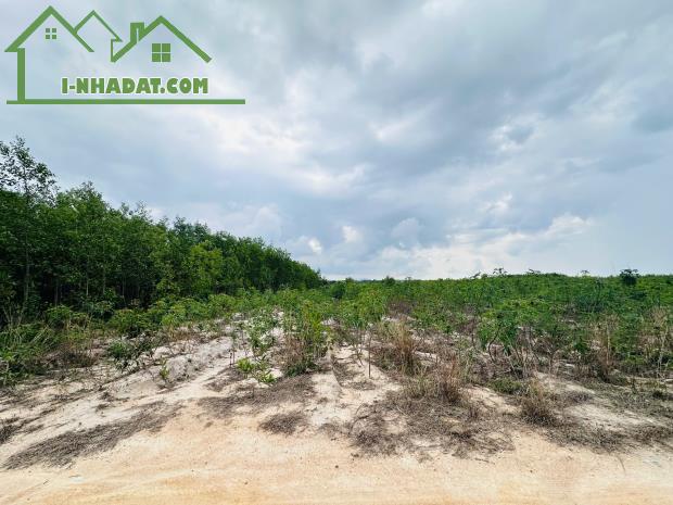 Bán 2256m2 đất Tân Bình - TX LaGi giá rẻ nhất 596tr/ sào sổ riêng