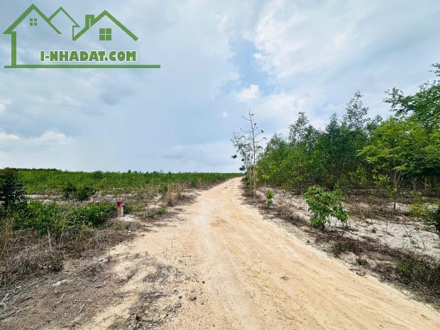 Bán 2256m2 đất Tân Bình - TX LaGi giá rẻ nhất 596tr/ sào sổ riêng - 2