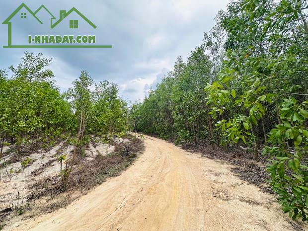 Bán 2256m2 đất Tân Bình - TX LaGi giá rẻ nhất 596tr/ sào sổ riêng - 3