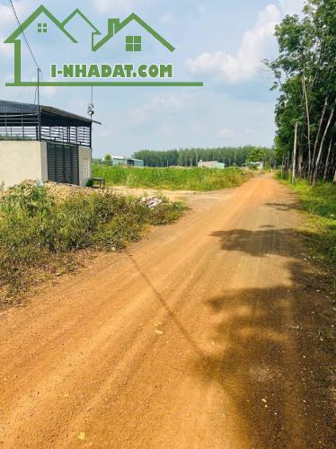 Bán đất sát KCN tân tiến 1,2 chỉ cần 180tr - 3