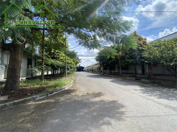 chuyển nhượng nhà xưởng đang SX may mặc, phù hợp đầu tư SX đa dạng ngành nghề - 1