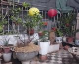 BÁN GẤP!! NHÀ PHỐ - NƠI TRUNG TÂM- QUẬN  HÀ ĐÔNG -40M2 CHỈ 7.99TỶ