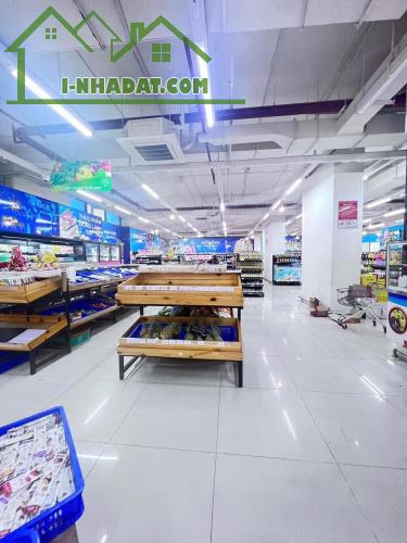 Bán nhà mặt phố Lý Thường Kiệt, Hoàn Kiếm 500m2, mt 14m, kinh doanh đỉnh, chỉ 750 tỷ. - 3