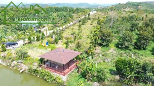 Bán đất nền sẵn sầu riêng đang thu tại Quốc Lộ 55, 690 triệu, 310m2 tại Lộc Nam, Bảo Lâm,